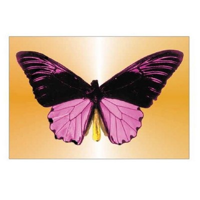 Black & Purple Butterfly Rectangle Metal Photo Magnet (2"x3")