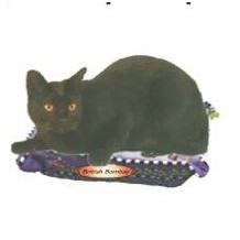 British Bombay Cat Lapel Pin