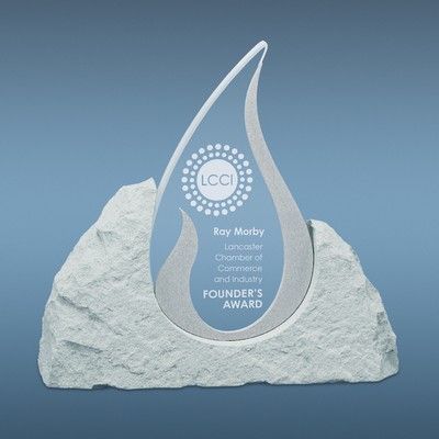 Enterprise 1 Award