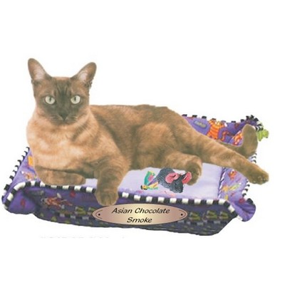 Asian Chocolate Smoke Cat Maxi Magnet (4 Square Inch)