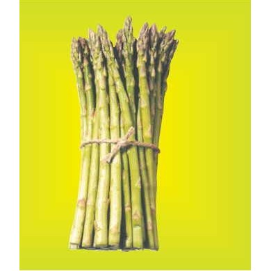 Asparagus Metal Photo Magnet (2 1/2"x2 1/2")