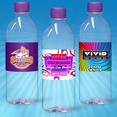 16.9 Oz. Custom Labeled Water in Clear "Bullet" Bottle w/Purple Cap