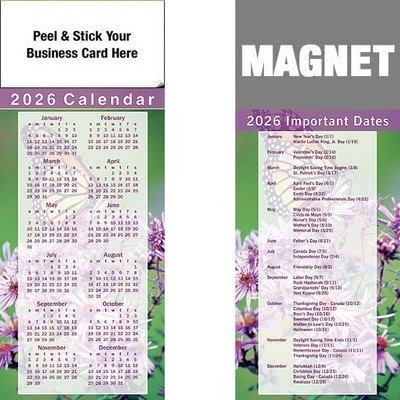 Peel & Stick Full Color Calendar Magnet (3 1/2"x8 1/2")