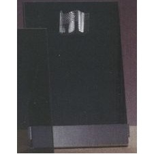 Smoked Glass Award w/Silver Eagle Accent, Silver Plastic Mounts & Base (4"x6.5")