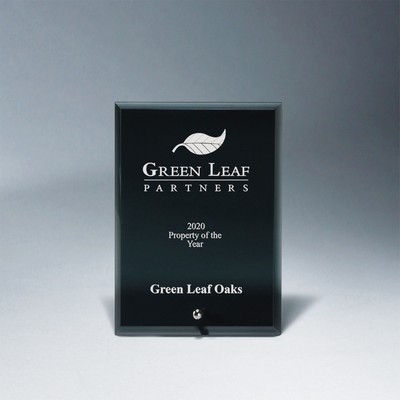 Premium Black Glass Tablet with Metal Stand (4"x6")