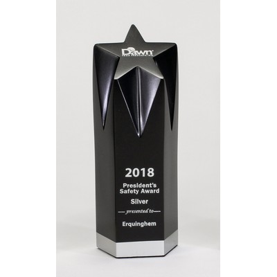 7" Medium Star Award