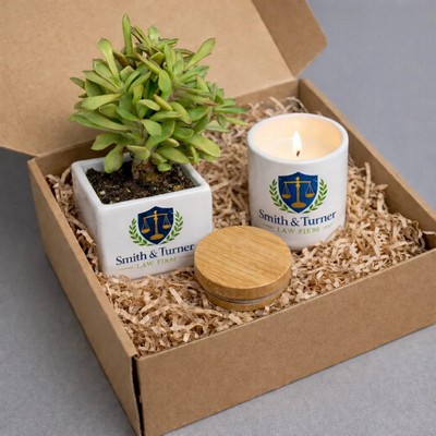 Live Succulent Plant And Candle Desktop Gift Set