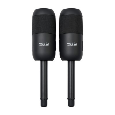 iLive™ Indoor and Outdoor Bluetooth Solar Speakers - Black