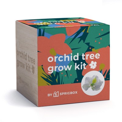 Orchid Tree Grow Kit | Solid Wood Planter Cube | Eco-Friendly