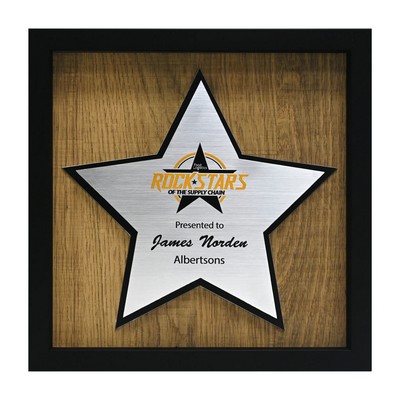 Newbury 10" x 10" Star Award with Brushed Silver Plate