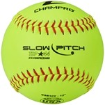 TSP-44 ASA 12 Softball