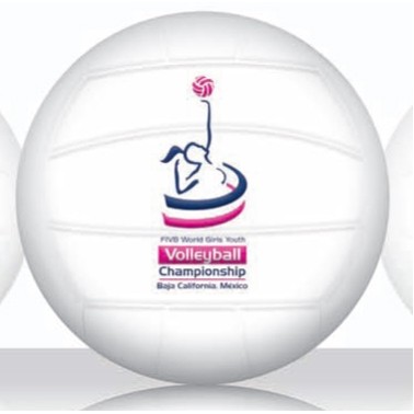 2.5" Micro Volleyball - White Top