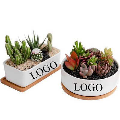 Ceramic Flower Pot for Succulents