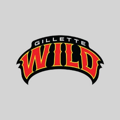 New Custom Temporary Tattoos - 1.5" x 2.5"