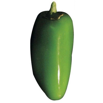 Jalapeno Maxi Magnet (6 Square Inch)