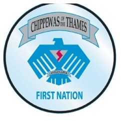 Custom Shape Clear Removable Adhesive Vinyl Decal (16.1 Up to 24 Square Inch)