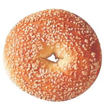 Sesame Bagel Executive Magnet w/ Full Magnetic Back (10 Square Inch)