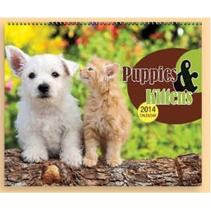 13 Month Spiral Bound Wall Calendar (Puppy & Kitten)