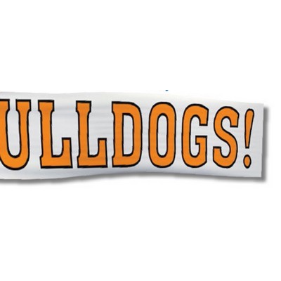 Full Color Mesh Banner