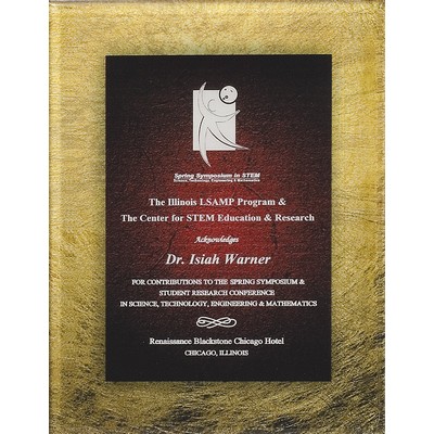 Acrylic Art Series Gold/Sienna Plaque - 8 1/2"