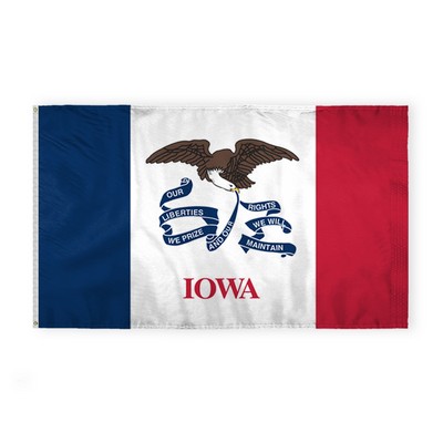 Iowa Flags 6x10 foot