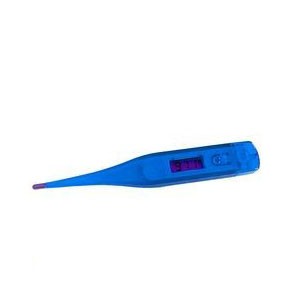 Translucent Digital Thermometer