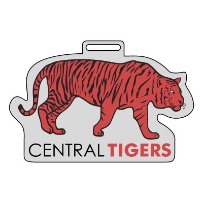 .030" Custom Matte Clear Deluxe Plastic (11 to 17 Square Inch)