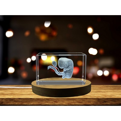 Second Month Foetus 3D Engraved Crystal Trophy Award w/LED Base Light