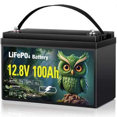 12.8V 100Ah LiFePO4 Lithium Battery