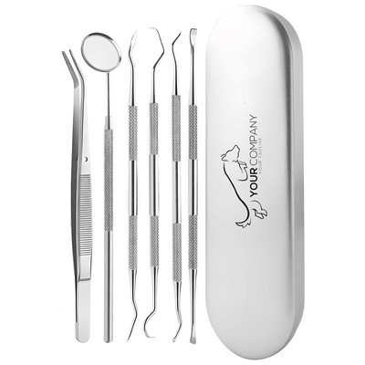 Stainless Steel Teeth Cleaning Tool Set