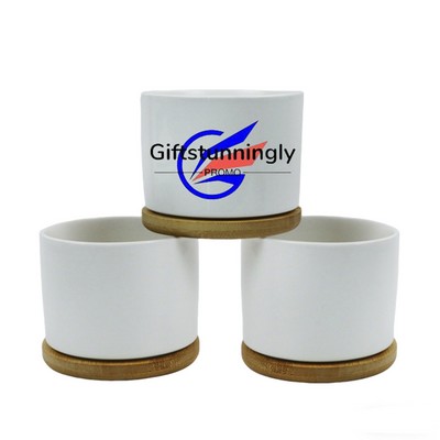 Ceramic Succulent Planters