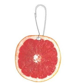 Grapefruit Zipper Pull