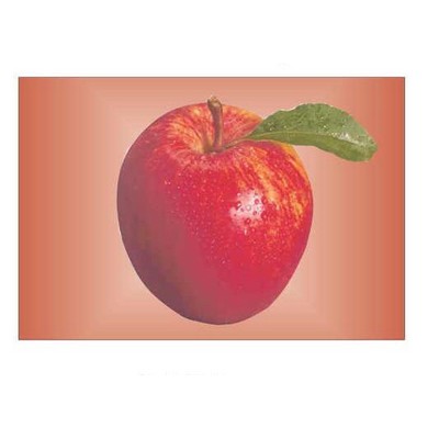 Apple Rectangle Badge w/ Bar Pin (2"x3")