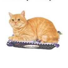 European Shorthair Cat Mighty Mini Magnet