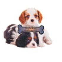 Spaniel Dog Lapel Pin