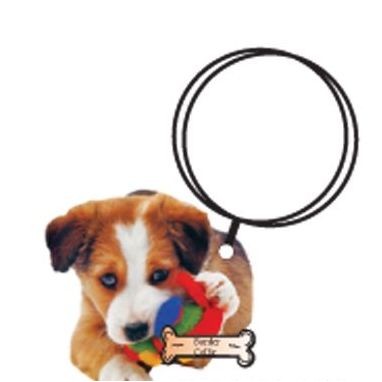 Border Collie Dog Key Chain w/Mirrored Back (3 Square Inch)