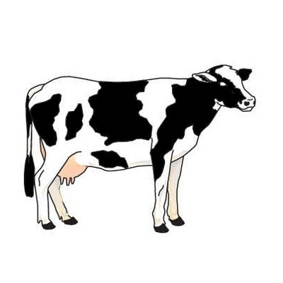 Cow Promotional Magnet w/Strip Magnet (10 Square Inch)