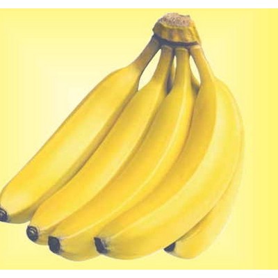 Bananas Metal Photo Magnet (2 1/2"x2 1/2")