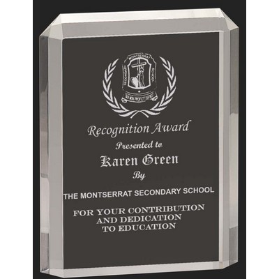 Standing Apart Acrylic Award S - 6 1/4'' H