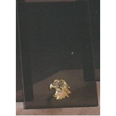 Gold Eagle Smoked Glass Award w/Gold Plastic Plaque Mounts (7"x9.5")