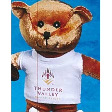 8" Team Thrifty™ Stuffed Bear
