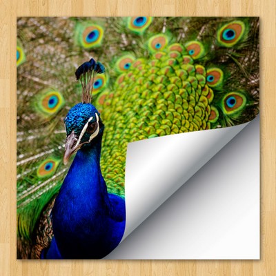 Extra High Tac Vinyl