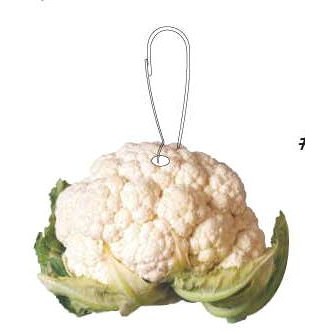 Cauliflower Zipper Pull