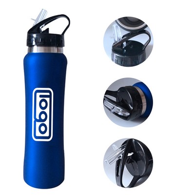Stainless Steel Insulated Bottle w/ Straw