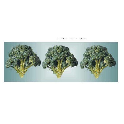 Broccoli Panoramic Metal Photo Magnet
