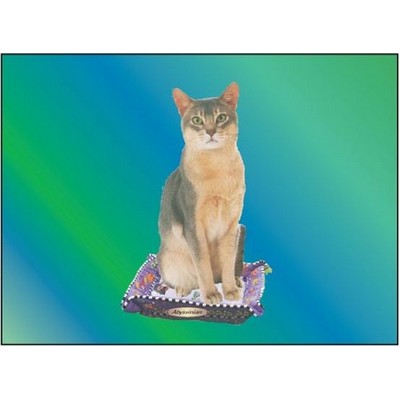 Abyssinian Cat Rectangle Badge w/ Bar Pin (2 1/2"x3 1/2")