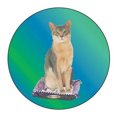 Abyssinian Cat Round Badge w/ Bar Pin (2 1/2")