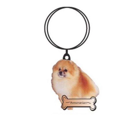 Pomeranian Dog Executive Key Chain w/Mirrored Back (3 Square Inch)