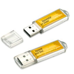 Rectangle Flash Drive w/ Color Panel & End Loop