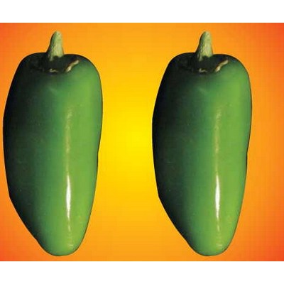 Jalapeno Metal Photo Magnet (2 1/2"x2 1/2")